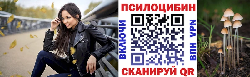 Псилоцибиновые грибы Psilocybine cubensis  Купить закладки  Тихвин 